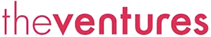 더벤처스